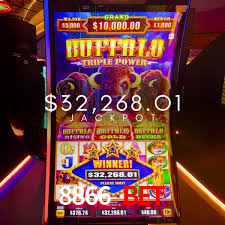 8866 Bet